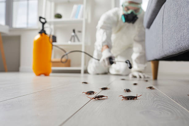 Commercial Kitchen Cockroach Control in Woodall